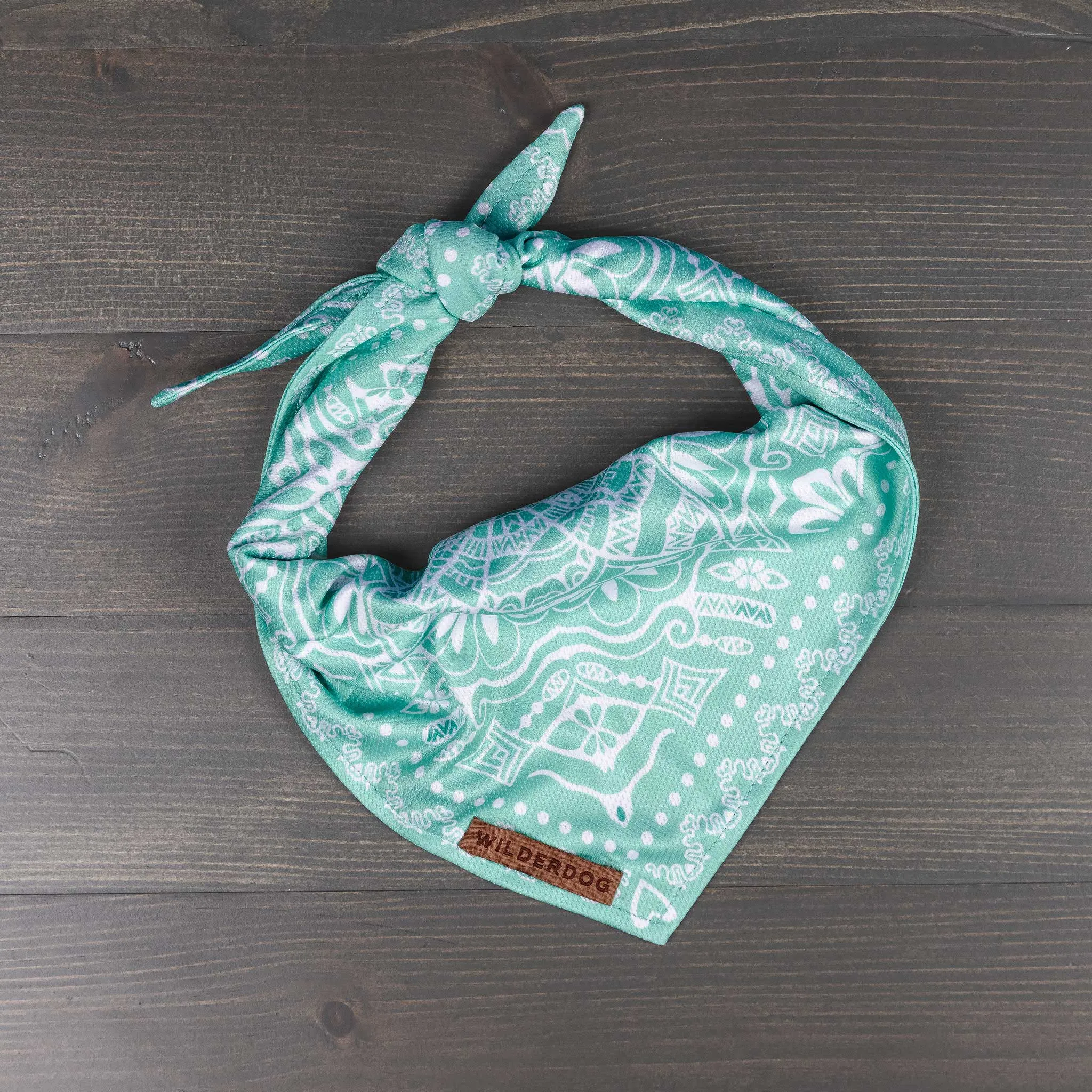 Agave Bandana