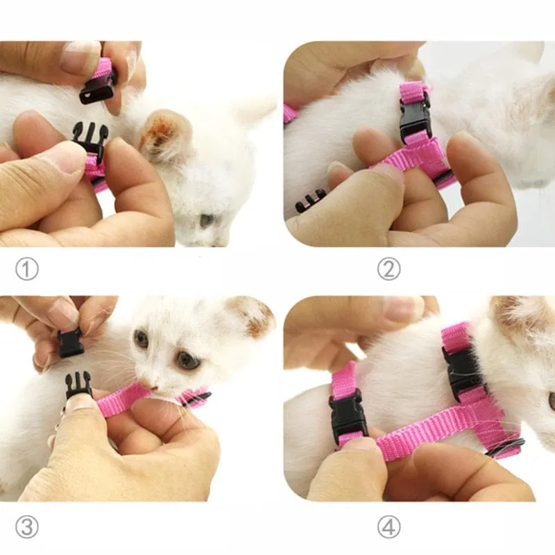 Angel Wings Cat Harness Leash