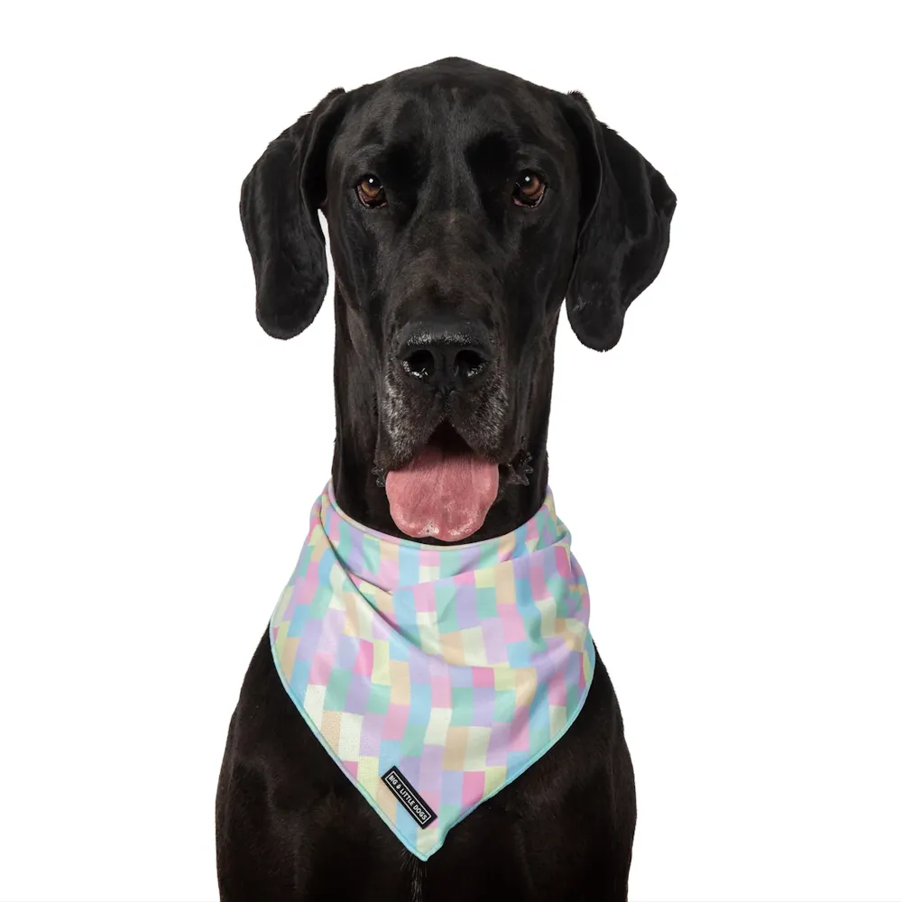 Big & Little Dogs Gelato Bandana