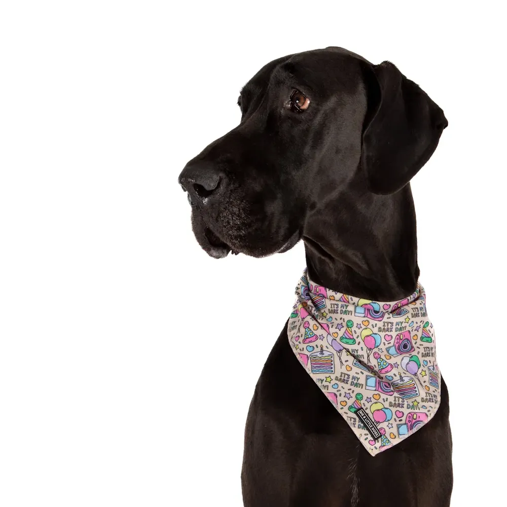 Big & Little Dogs It's My Bark Day Bandana