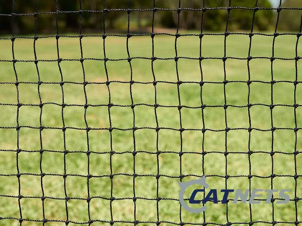 Cat Netting 10m x 10m Black