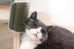 Cat Self Grooming Brush