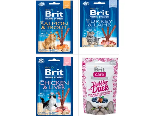 Combo Brit Premium by Nature Cat food sticks and with Snack Super Fruits Kitten 100G