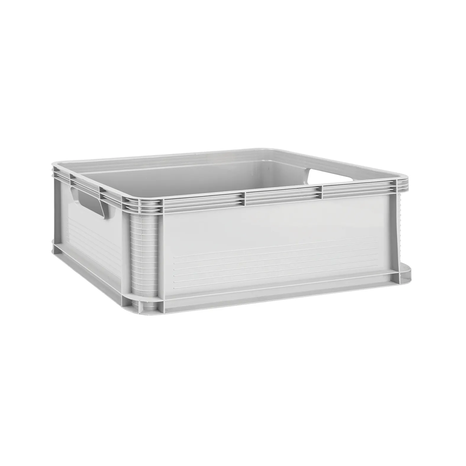 Crate Small Clear 22L