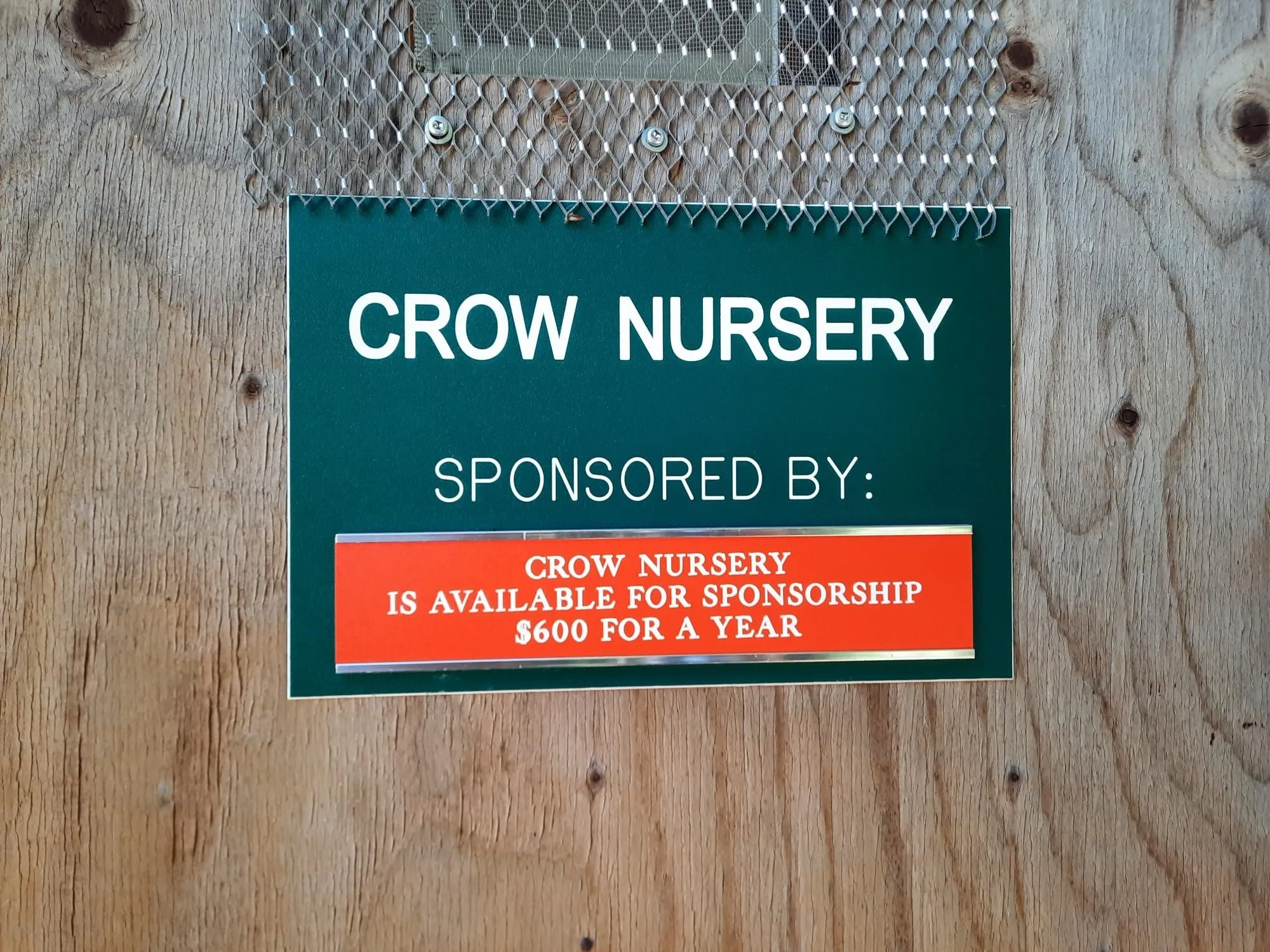 Crow nursery - Wild ARC