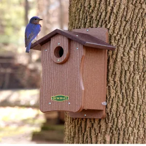 Duncraft Bird-Safe® EZ Observation Bluebird House with Predator Guard