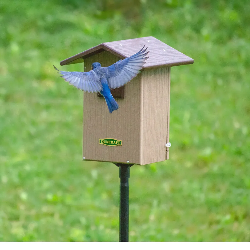 Duncraft Bird-Safe® Premium Observation Bluebird House & Pole