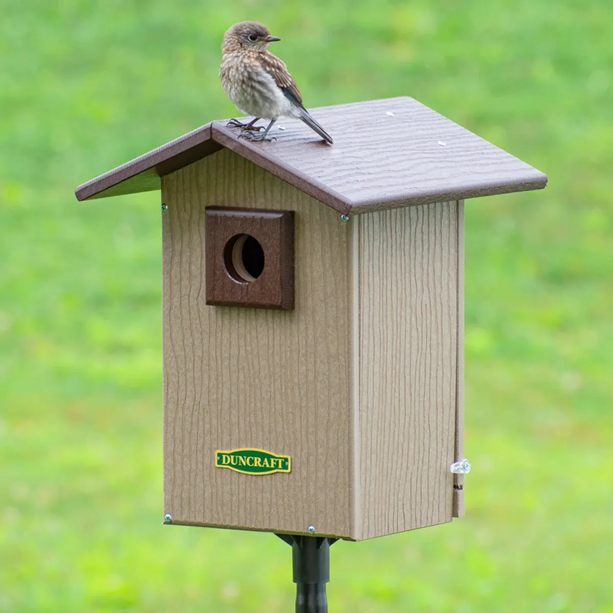 Duncraft Bird-Safe® Premium Observation Bluebird House & Pole