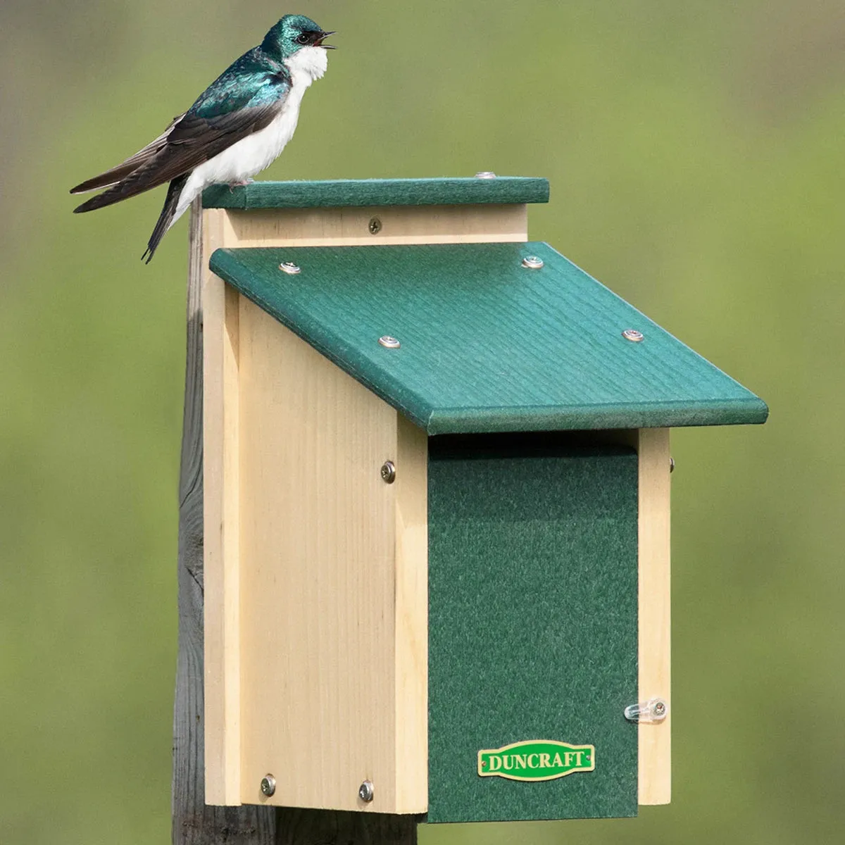 Duncraft Bird-Safe® Swallow Nest Box