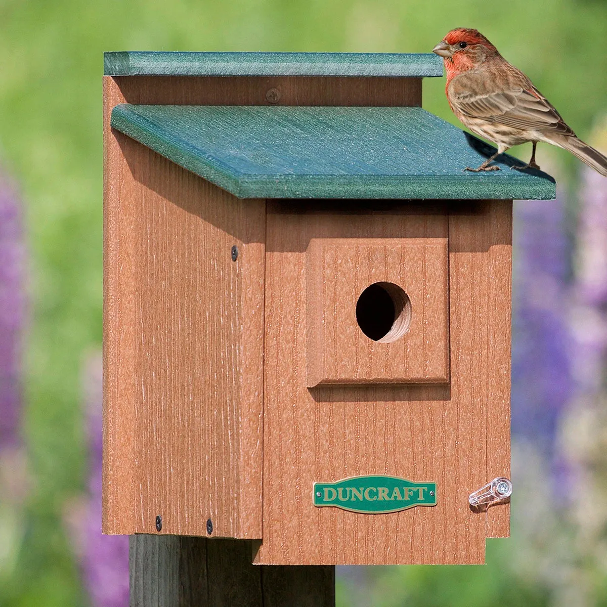 Duncraft Eco-Strong Protected Songbird House