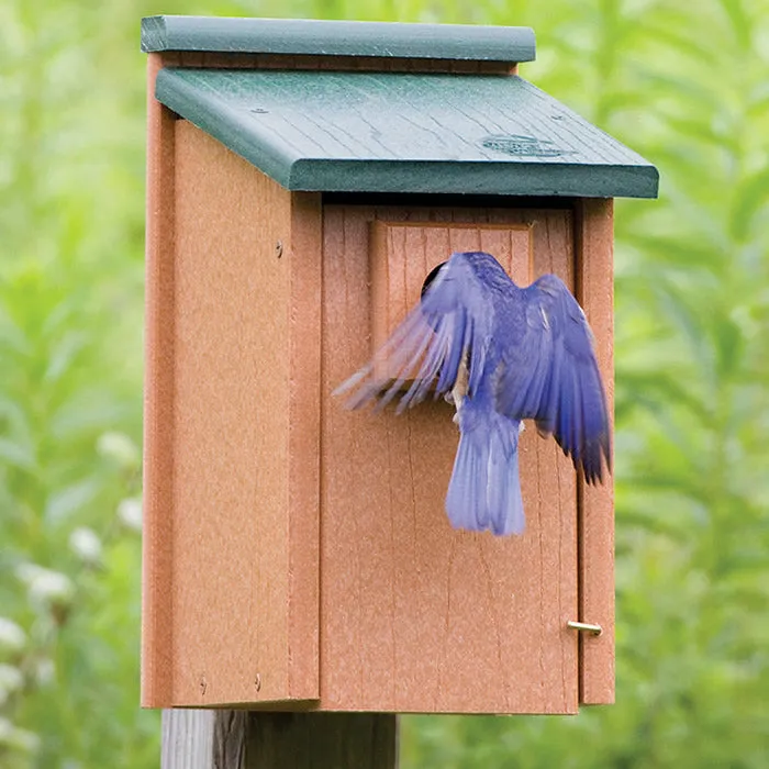 Going Green Bluebird House