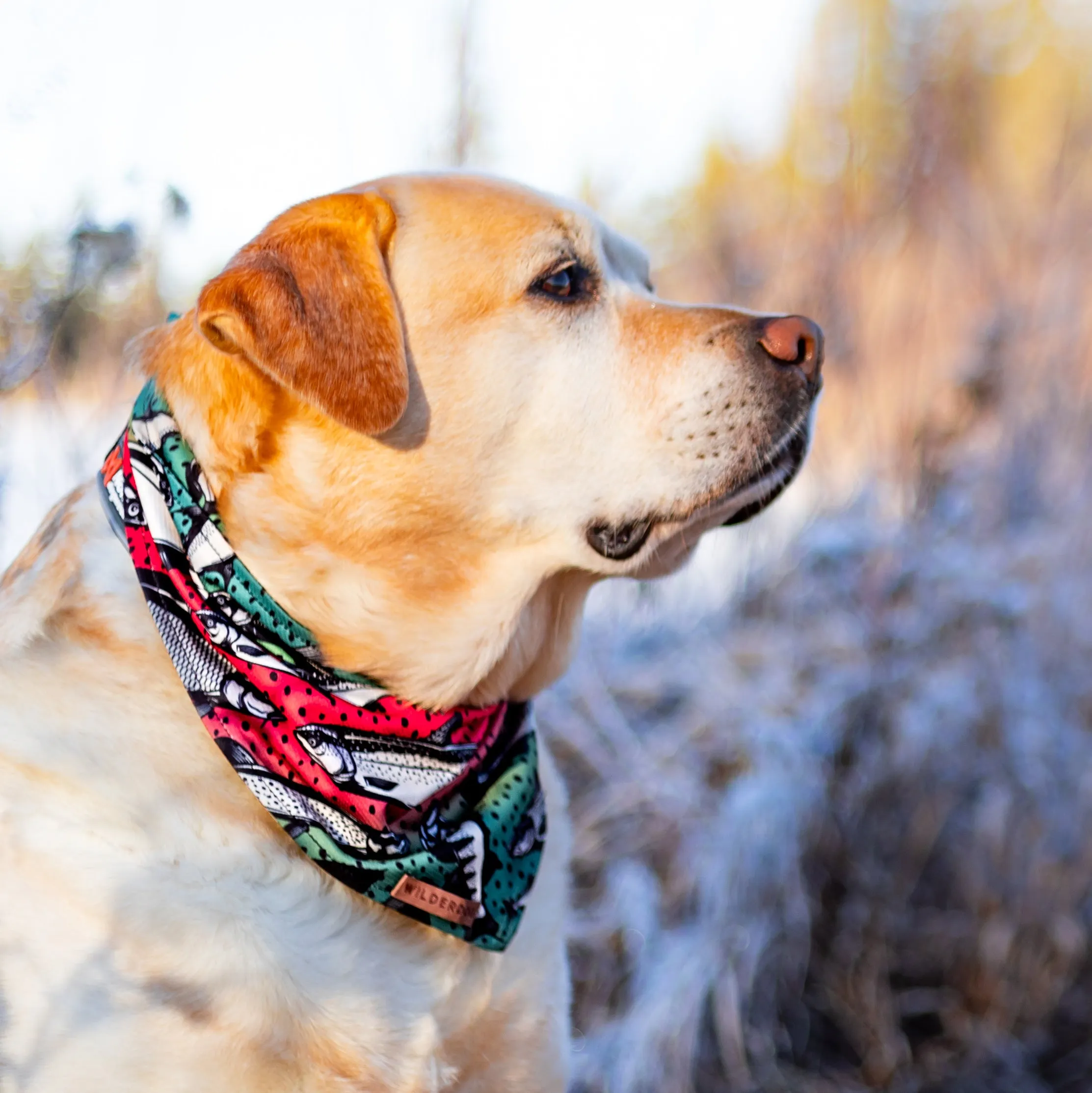 Gone Fishing Bandana