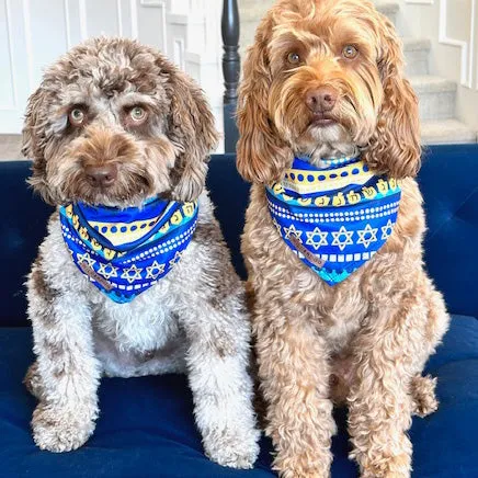 Hanukkah Bandana