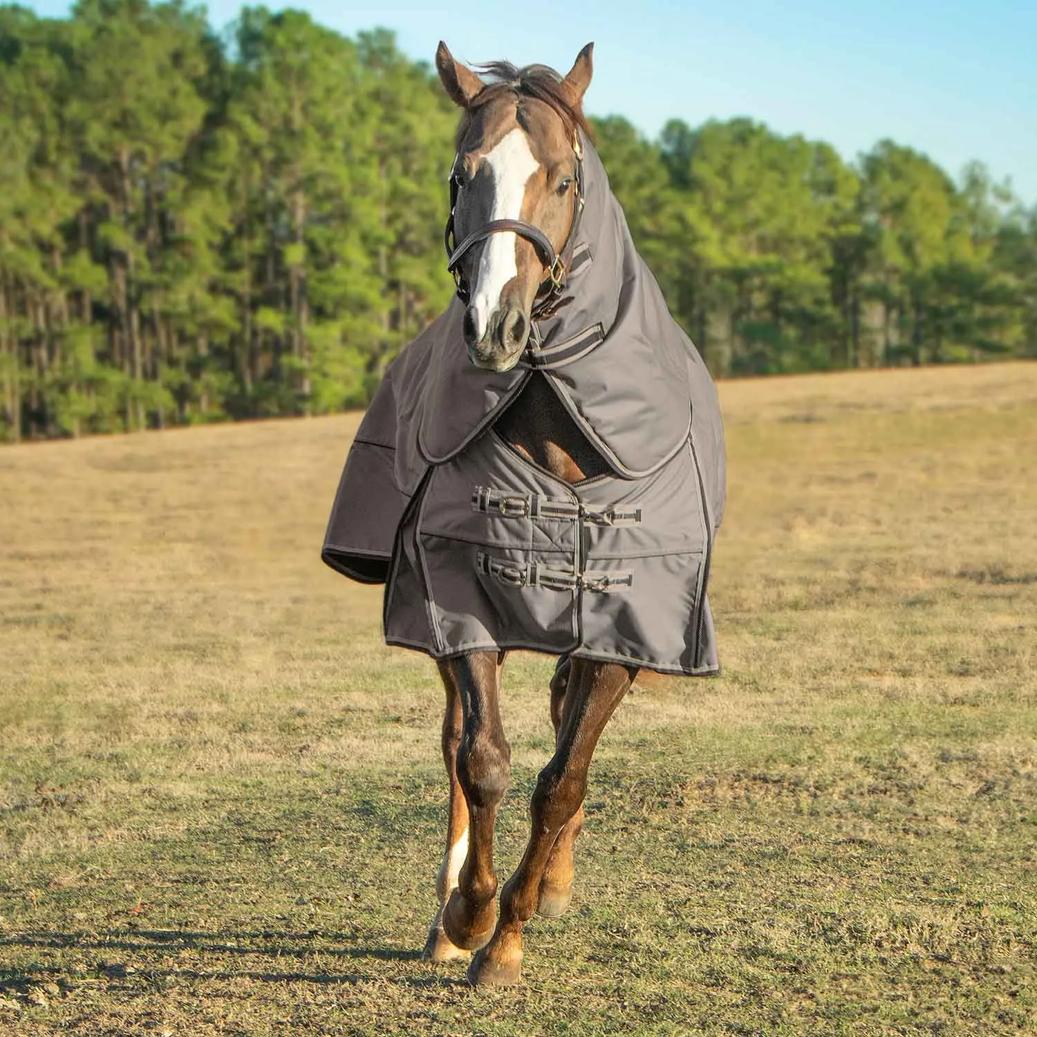 Jeffers Poplar Head Defense 1680 Denier Turnout Blanket with Detachable Neck, 360 Gram, Plymouth Brown