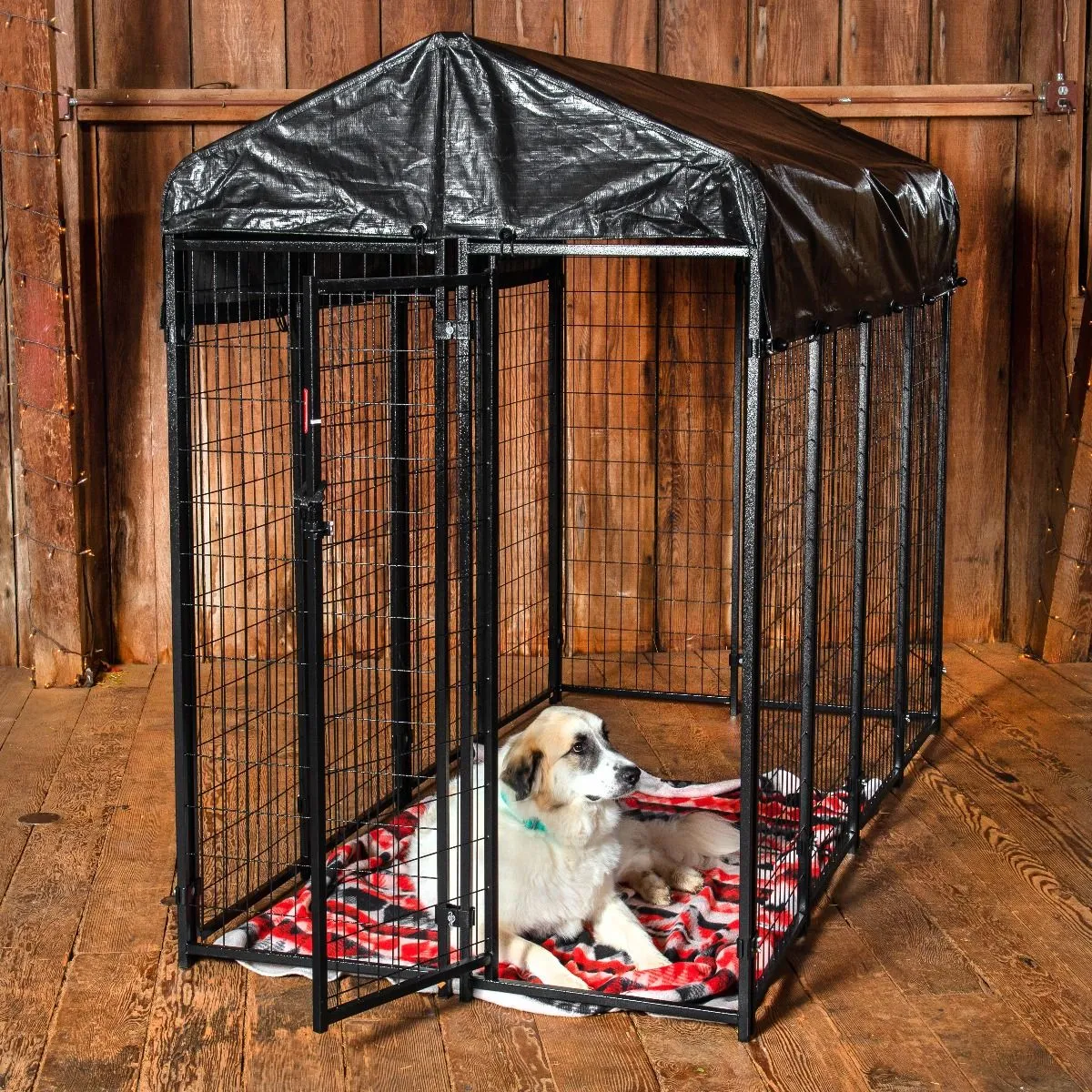 Lucky Dog 4'W x 6'H Outdoor Pet Kennel with Cover