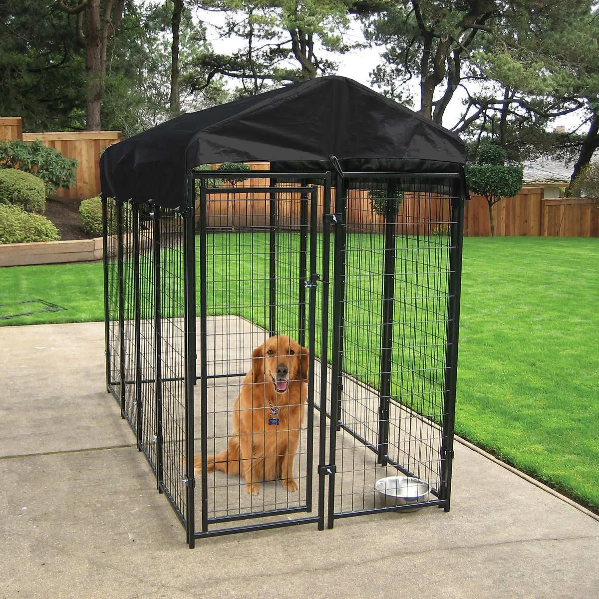 Lucky Dog 4'W x 6'H Outdoor Pet Kennel with Cover