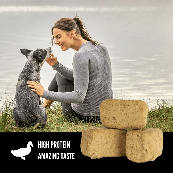 Orijen Free-Run Duck Recipe Freeze-Dried Dog Treats