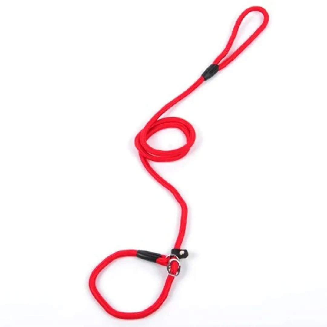 PetAffairs Small Dog Leash for Petite Adventures