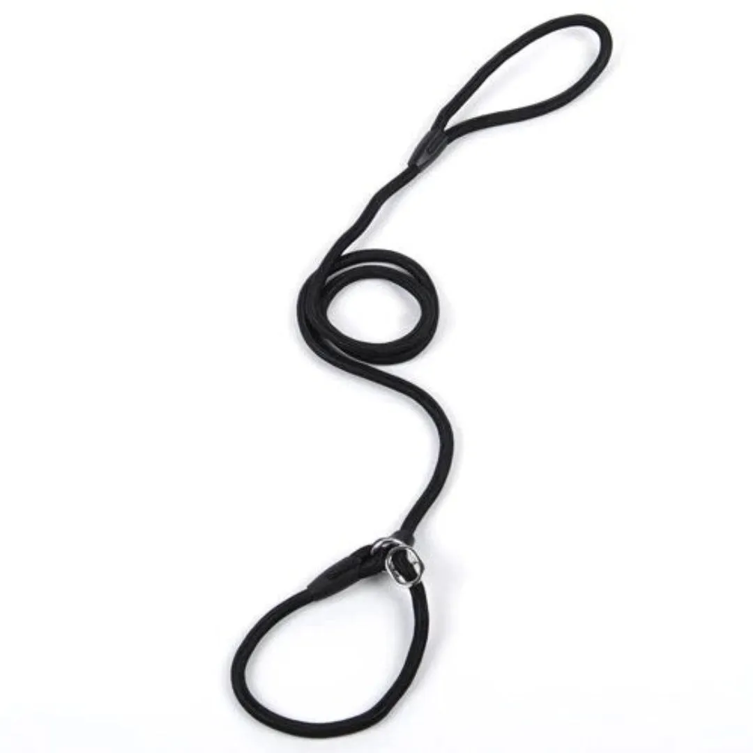 PetAffairs Small Dog Leash for Petite Adventures