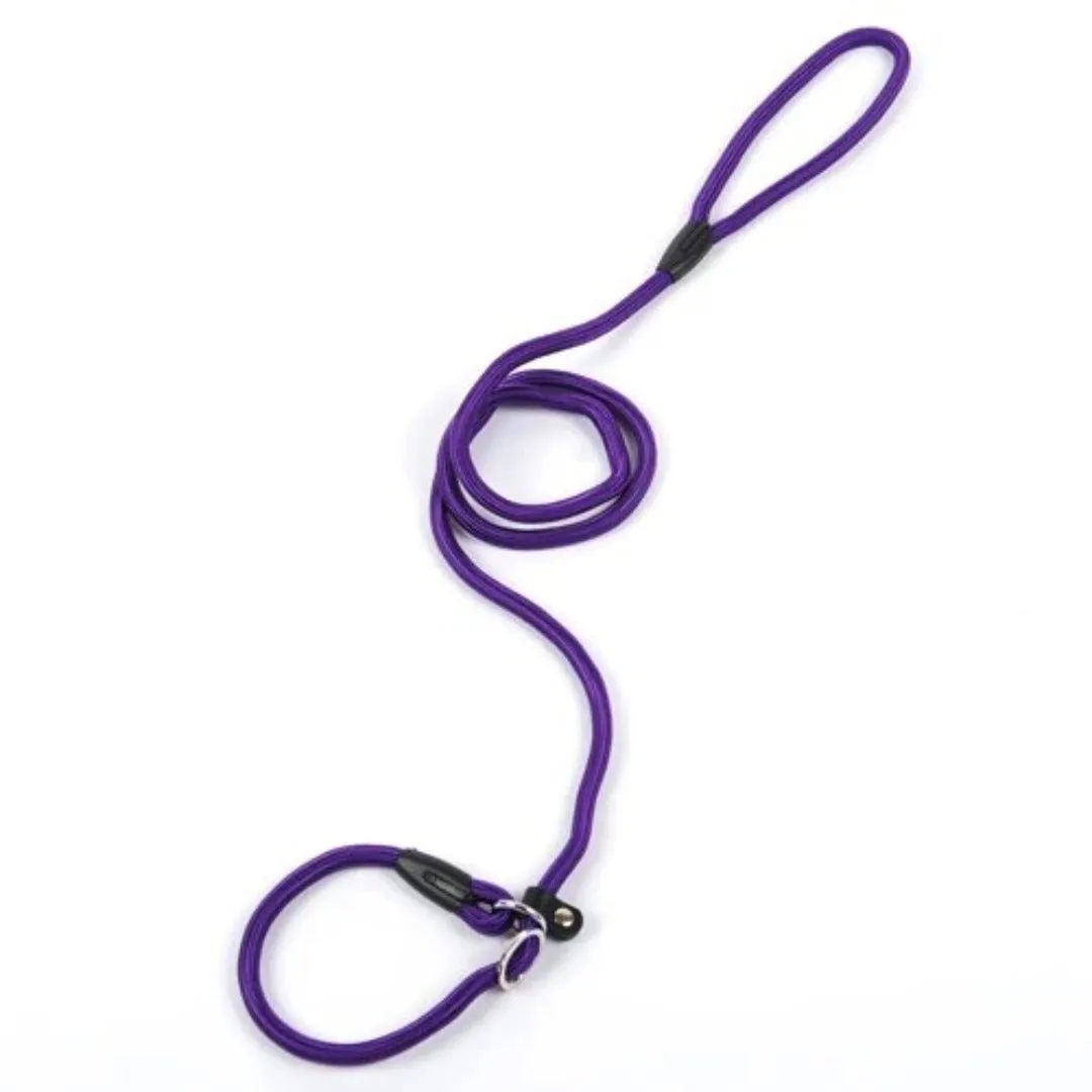 PetAffairs Small Dog Leash for Petite Adventures