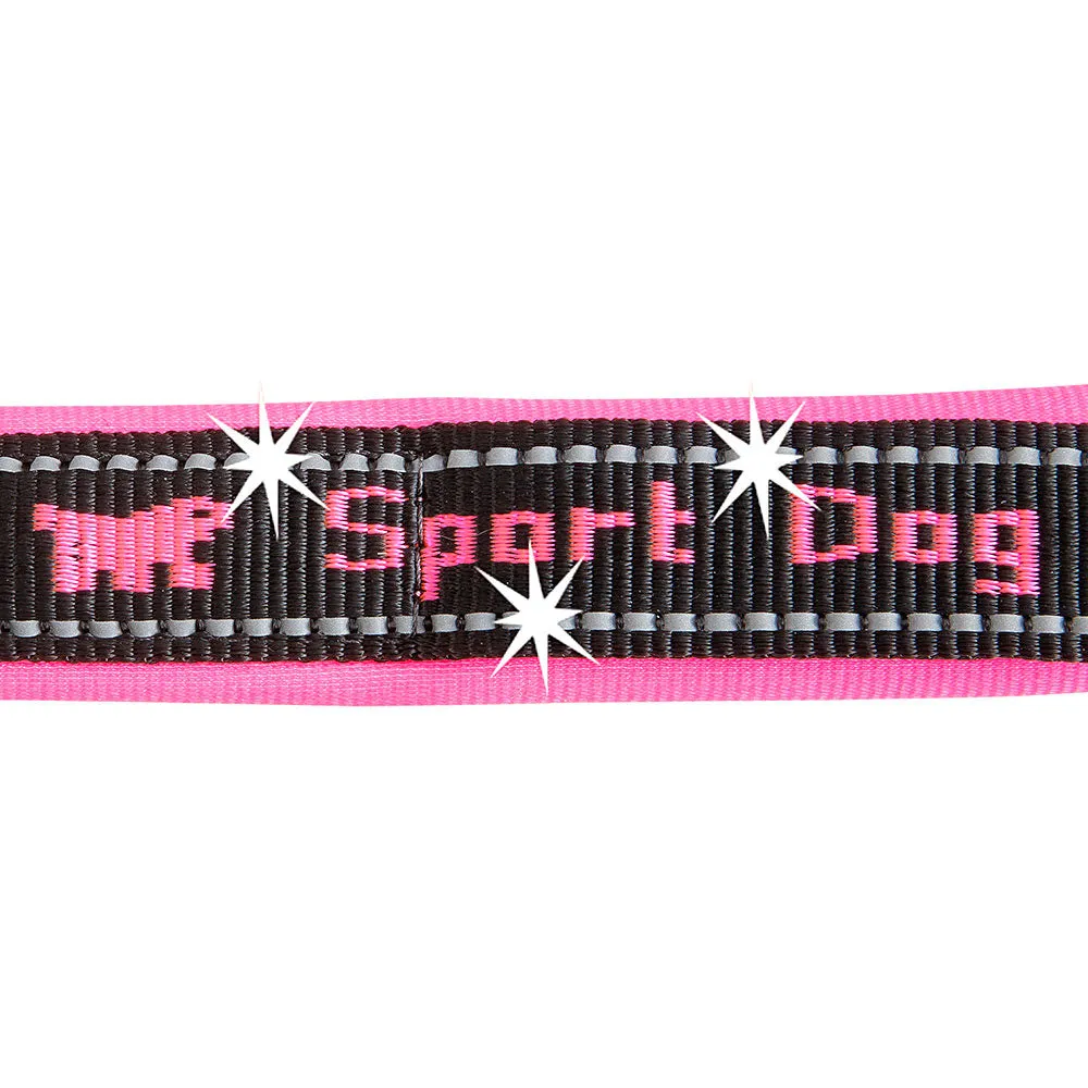 SPORT DOG C