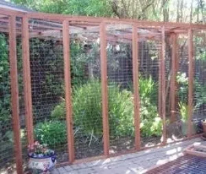 Super 8' XL Cat Enclosure - Kitten Wire