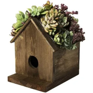 SuperMoss Large Plantable Wood Birdhouse