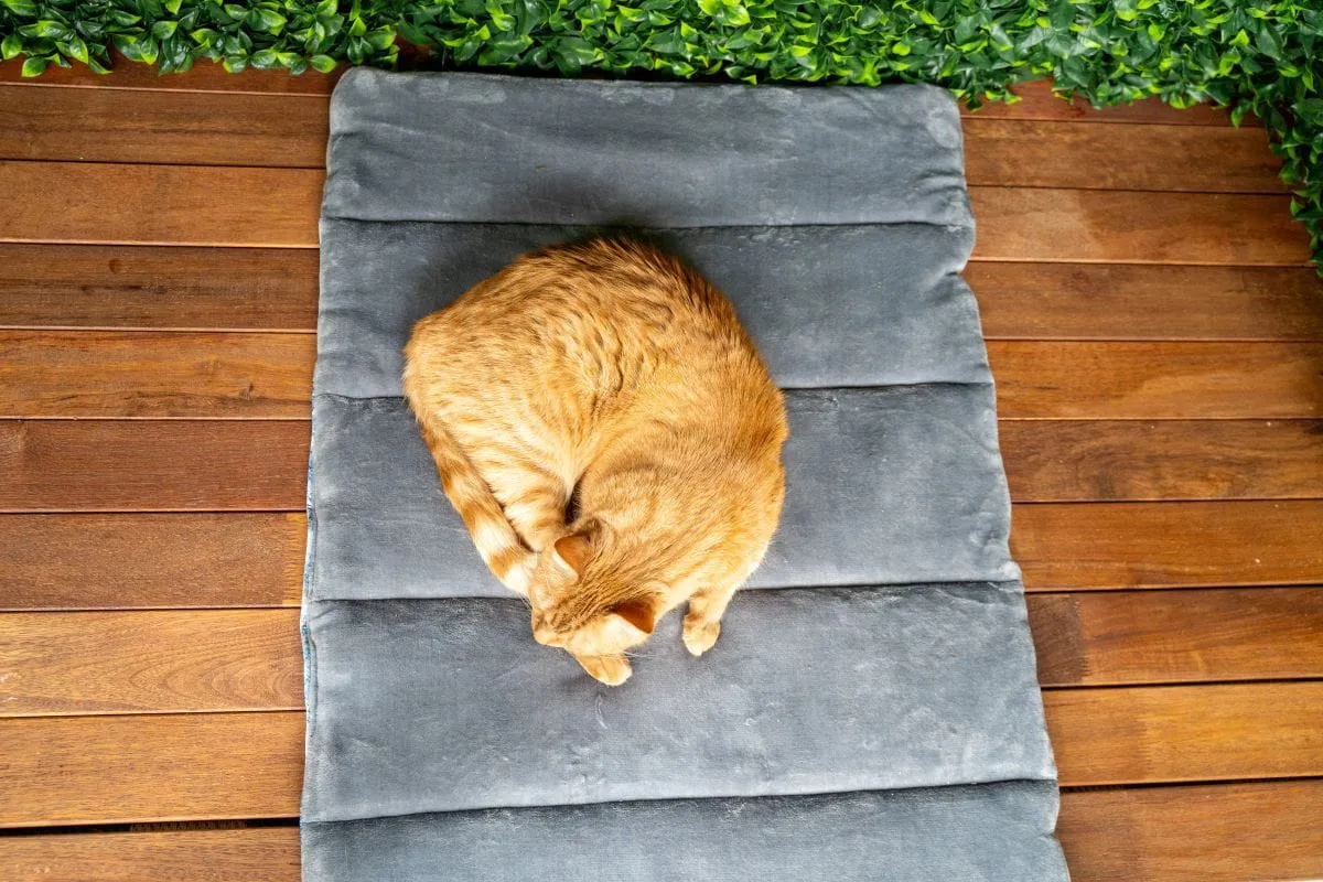 Travel Pet Mat